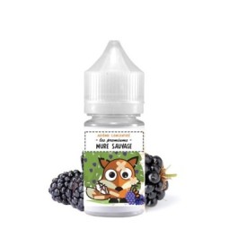 Mûre Sauvage 30 ml (Arôme DIY) H2O